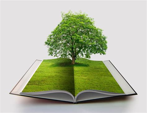 How to Recycle Hardcover Books: A Guide to Preserving Knowledge and the Environment