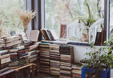 How to Store Books in Boxes: Exploring Creative and Practical Methods for Book Preservation and Space Optimization